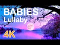 Download Lagu Baby Bedtime lullaby Song \