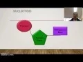 DNA Coding - Mr H