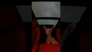 مــثــل الــغــزال إيـلا ســمــع حــس هـم ذار 