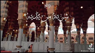 حن قلبي له فاض شوقا إليه  حن قلبي له فاض شوقا إليه
