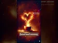 Download Lagu sacred heart ceremony. live today. replay available 🧡