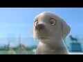 dil hai chota sa full song