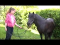 Besten Momente 2013/14 (Cotton Eye Joe)