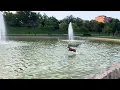 Evening walk in the park next to our home / June 2024 / Madrid / Spain