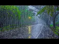 Lagu Beat the Pressure for 3 Minutes with HEAVY RAIN and Strong Thunder on a Quiet Street in the Park