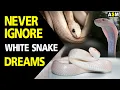 Download Lagu What does White Snake Dream Meaning | White Snake Dream interpretation | Dreaming of White Snake