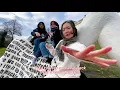 Mungo's Hi Fi Ft.  Soom T - Jump Up Quickly (typographic videoclip)