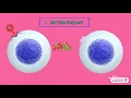 Antimicrobial proteins