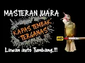 Lagu Geger !! MASTERAN JUARA KAPAS TEMBAK TERBAIK 2026 MATERINYA NGERI‼️