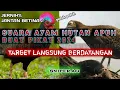 Download Lagu SUARA AYAM HUTAN HIJAU, suara petek petek AMPUH 100% COCOK BUAT PIKAT terbaru 2024.