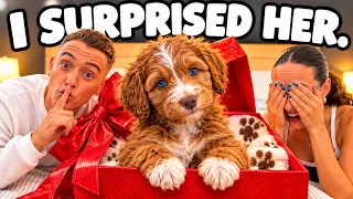 Surprising My Girlfriend With Her DREAM Puppy!!