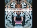 30 Seconds to Mars- Hurricane