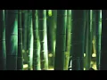 Download Lagu 三谷  Sanya Three Valleys - Shakuhachi flute - Rodrigo Rodriguez