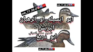 اصوات الطيور صوت صافي البربش ابو دريغ ابو زله ابو ابسيله 