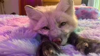 We love you Nimbus