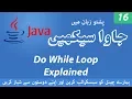 16 - Do While loop in Java