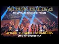 Download Lagu Afraid to Shoot Strangers - Live with Orchestra - The Beast Experience - Iron Maiden Tribute