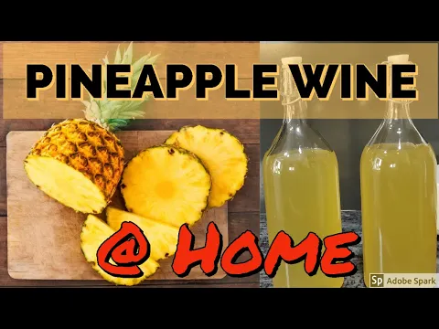 Download MP3 Pineapple Wine Making At Home |  How To Make Pineapple Wine | Easy Pineapple Wine Recipe