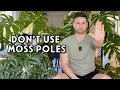 10 PLANTS THAT DON T NEED A MOSS POLE