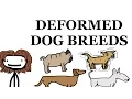 Dog Breed Deformities