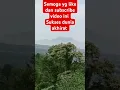 Download Lagu bukit berbunga #fypyoutube #bukit #bukitbintang #bukittinggi #gunung #pemandanganalam