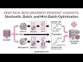Gradient Descent Explained Stochastic vs Batch vs Mini-Batch Gradient Descent in Python Learning