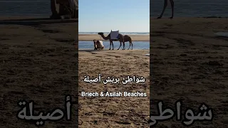 نقطة التقاء شاطئ بري ش وشاطئ الصفيحة والمعدن مصب واد غريفة فسحة بصرية وروحية 