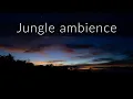 Download Lagu Night jungle ambience - Nature sounds