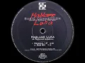 Basic Connection - Hablame Luna (Original 12")
