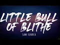 Sam Fender - Little Bull Of Blithe (Lyrics)