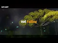 Louise Hay: Remember to Feel Good | When Everything Feels Like It’s Falling Apart