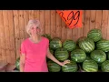 Detwiler s Farm Market