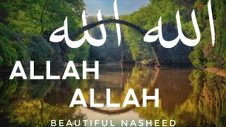                                           الله الله                       دندنها