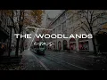 The Woodlands TX - Let s Explore