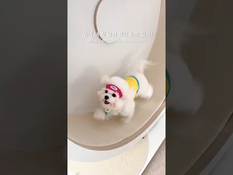 배복희🤍