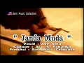 Download Lagu Ade Irma - Janda Muda | Disco (Original VCD Karaoke)