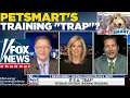 Class Action Law Suit alleges PetSmart Training Agreement Traps Groomers in Debt Shannon Bream