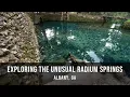 Exploring the Unusual History of Albany s Radium Springs