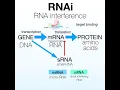 Download Lagu RNAi by the bumbling biochemist