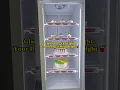 Download Lagu Your exclusive upright freezer factory is here!#factoryproducts #refrigerator #factory