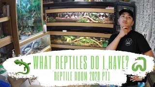 neptile king ko reptile room ma ke ke cha first reptile room tour for 2020 pt1