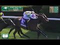 2026 Jenny Wiley Stakes G1 - Segesta vs Expensive Queen A Dead-Heat at Keeneland