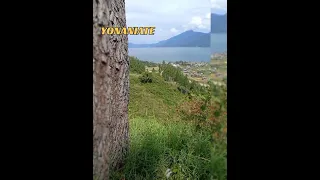 yonaniate lirik lagu gayo 