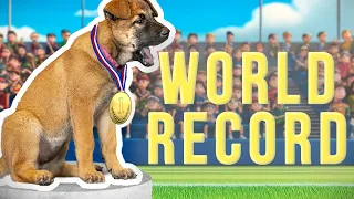 7wo Puppy Shatters World Record