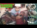 Download Lagu Cara membedakan jenis kelamin bajing kelapa