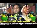 Lagu YANG PENTING LAKU GAK MIKIRIN UNTUNG!!HARGA BURUNG DIKIOS BROCIN/ANAK LANANG PASAR BURUNG PRAMUKA