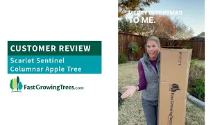 Customer Review for Scarlet Sentinel Columnar Apple Tree