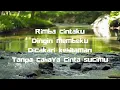 Download Lagu RIMBA CINTAKU -Medicine- (LYRICS VIDEO)