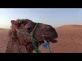 Morocco - Kasbahs Desert with G Adventures