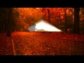 Download Lagu ✿⊱╮♥JUST ANOTHER WOMAN IN LOVE - ANNE MURRAY✿⊱╮♥